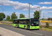 Wagrn 301 in Lu. Wittenberg. 