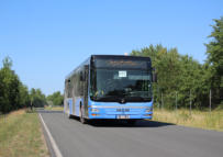 Wagrn 301 in Lu. Wittenberg. 